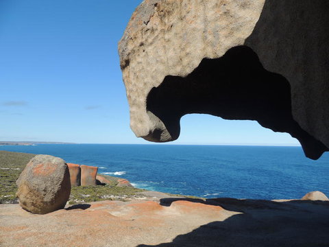 Kangaroo Island In A Day Tour From Adelaide - Tourism Search 13