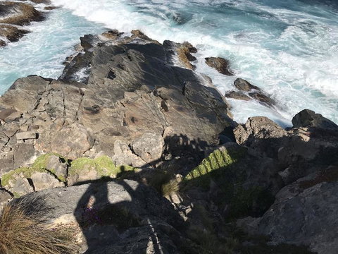 Kangaroo Island In A Day Tour From Adelaide - Tourism Search 3