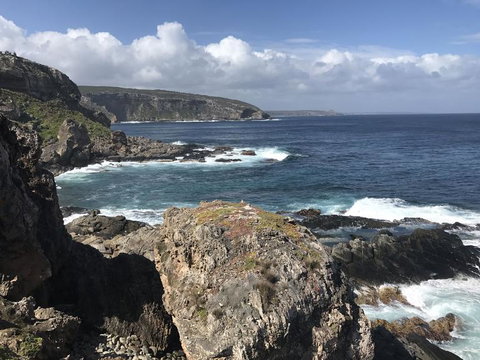 Kangaroo Island In A Day Tour From Adelaide - Tourism Search 4