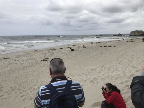 Kangaroo Island In A Day Tour From Adelaide - Tourism Search 10