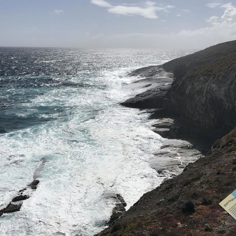 Kangaroo Island In A Day Tour From Adelaide - Tourism Search 6