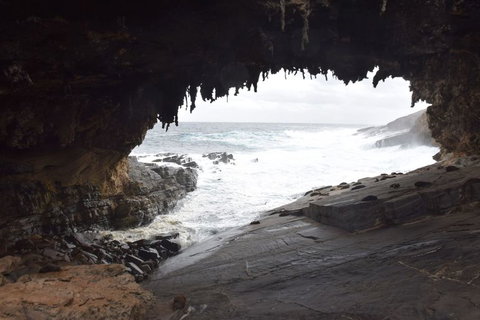 Kangaroo Island In A Day Tour From Adelaide - Tourism Search 18