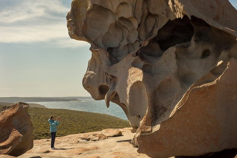 Kangaroo Island In A Day Tour From Adelaide - Tourism Search 30