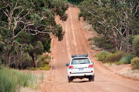 Small-Group Kangaroo Island 4WD Tour From Adelaide - Tourism Search 7