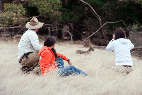 Small-Group Kangaroo Island 4WD Tour From Adelaide - Tourism Search 6