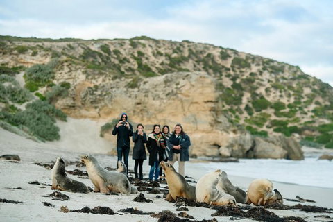 Small-Group Kangaroo Island 4WD Tour From Adelaide - Tourism Search 2