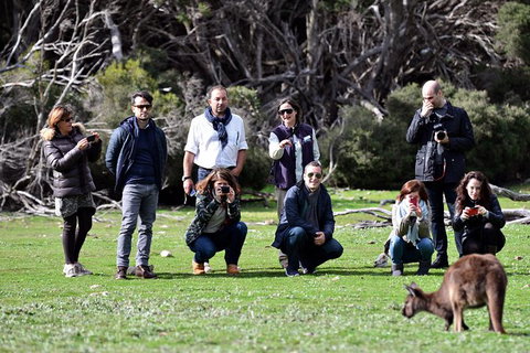Small-Group Kangaroo Island 4WD Tour From Adelaide - Tourism Search 3