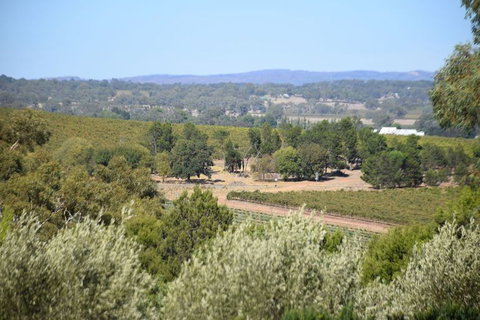 Barossa Valley Food And Wine Tour - Tourism Search 2