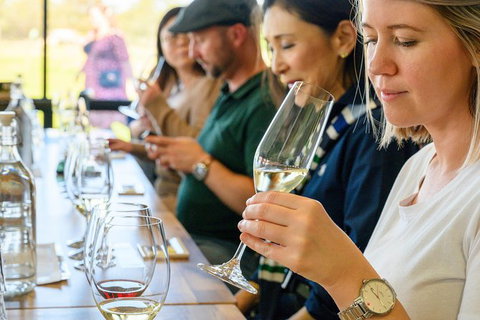 Barossa Valley Food And Wine Tour - Tourism Search 11