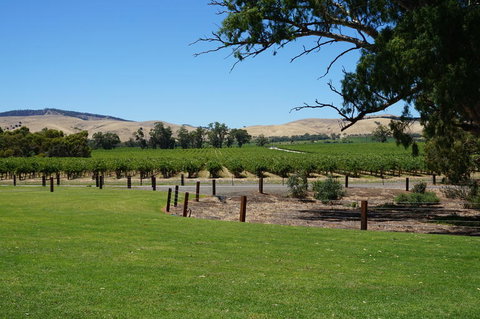 Barossa Valley With Hahndorf Tour From Adelaide - Tourism Search 3