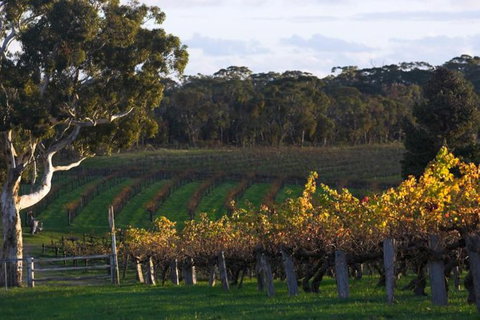 Barossa Valley With Hahndorf Tour From Adelaide - Tourism Search 0