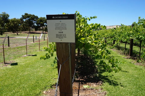Barossa Valley With Hahndorf Tour From Adelaide - Tourism Search 5