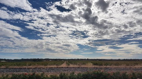 Barossa Valley Full-Day Tour From Adelaide With Maggie Beer Farm - Tourism Search 3