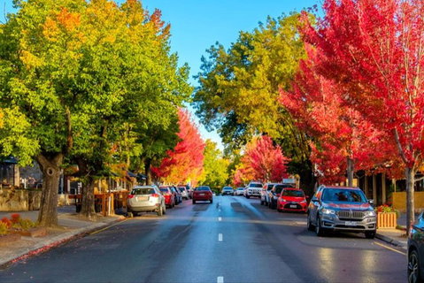 Barossa Valley Full-Day Tour From Adelaide With Maggie Beer Farm - Tourism Search 6