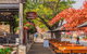Barossa Valley Full-Day Tour From Adelaide With Maggie Beer Farm - thumb 5