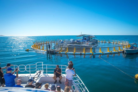 2 Hour Aquarium Tour - Tourism Search 0