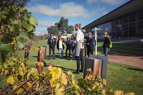 Barossa Valley Day Trip From Adelaide - Tourism Search 0