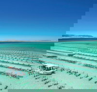 Coffin Bay Private Day Tour from Port Lincoln - A Taste of Coffin Bay - Tourism Search