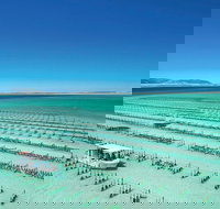 Coffin Bay Day Tour - A Taste of Coffin Bay - Tourism Search