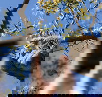 Exceptional Port Lincoln Seafood and Wildlife Tour - Tourism Search