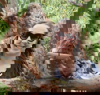 One Day Port Lincoln Tour - Tasting Eyre - Tourism Search