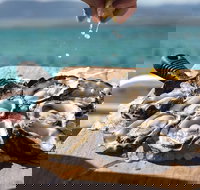 Experience Coffin Bay Short and Sweet Oyster Farm Tour - Tourism Search