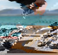 Experience Coffin Bay Oyster Farm and Bay Tour - Tourism Search