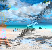 Whitehaven Beach Half-Day Cruises - Tourism Search