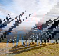 Full Day Mount Tamborine Winery Tour from Gold Coast - Tourism Search