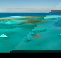 Great Barrier Reef Dive and Snorkel Cruise from Mission Beach - Tourism Search