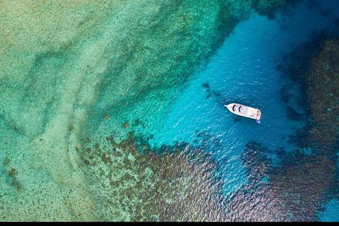 Great Barrier Reef Dive And Snorkel Cruise From Mission Beach - Tourism Search 3