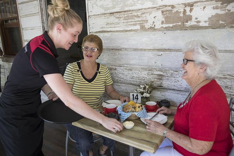 River To Mountain Townsville Tour With Optional City Sightseeing Upgrade - Tourism Search 1