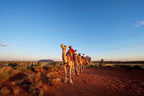 Uluru Small-Group Tour By Camel At Sunrise Or Sunset - Tourism Search 0