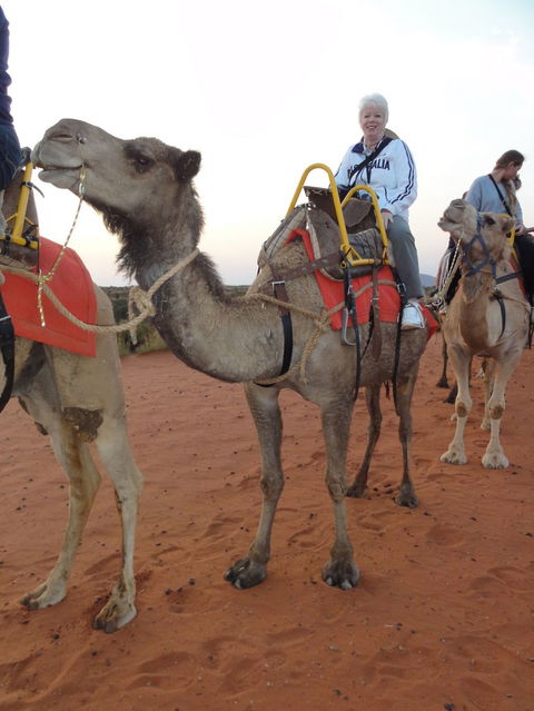 Uluru Small-Group Tour By Camel At Sunrise Or Sunset - Tourism Search 2