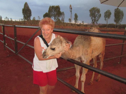 Uluru Small-Group Tour By Camel At Sunrise Or Sunset - Tourism Search 18