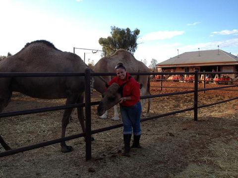 Uluru Small-Group Tour By Camel At Sunrise Or Sunset - Tourism Search 21