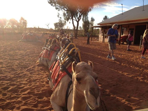 Uluru Small-Group Tour By Camel At Sunrise Or Sunset - Tourism Search 22