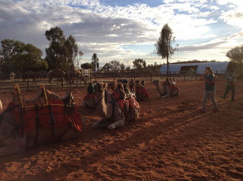 Uluru Small-Group Tour By Camel At Sunrise Or Sunset - Tourism Search 23