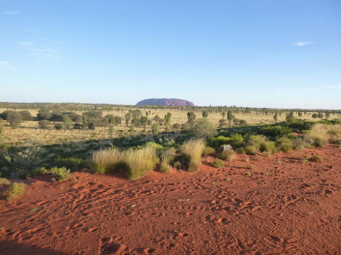 Uluru Small-Group Tour By Camel At Sunrise Or Sunset - Tourism Search 9