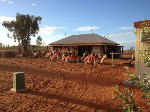Uluru Small-Group Tour By Camel At Sunrise Or Sunset - Tourism Search 19