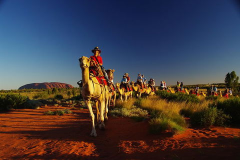 Uluru Small-Group Tour By Camel At Sunrise Or Sunset - Tourism Search 29