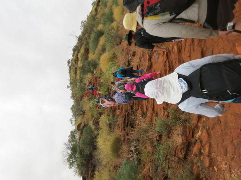 Kings Canyon Day Trip From Ayers Rock - Tourism Search 14