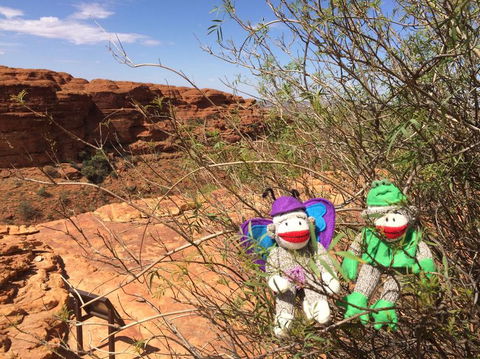 Kings Canyon Day Trip From Ayers Rock - Tourism Search 23