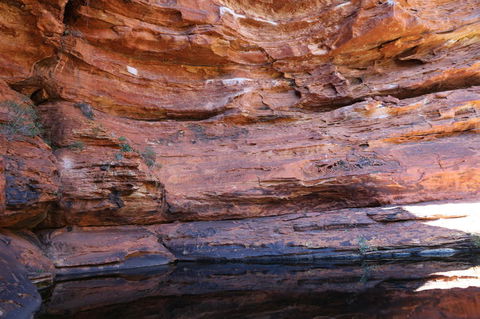 Kings Canyon Day Trip From Ayers Rock - Tourism Search 16
