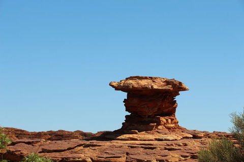 Kings Canyon Day Trip From Ayers Rock - Tourism Search 17