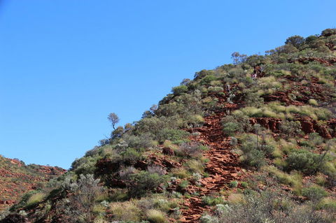 Kings Canyon Day Trip From Ayers Rock - Tourism Search 21