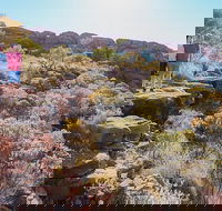 Kings Canyon Day Trip from Ayers Rock - Tourism Search