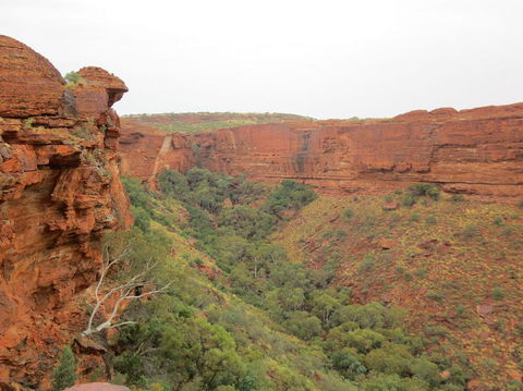 Kings Canyon Day Trip From Ayers Rock - Tourism Search 13