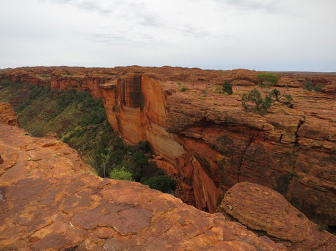 Kings Canyon Day Trip From Ayers Rock - Tourism Search 10