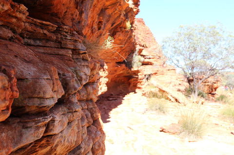 Kings Canyon Day Trip From Ayers Rock - Tourism Search 20